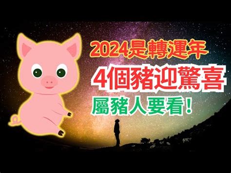 2024年豬